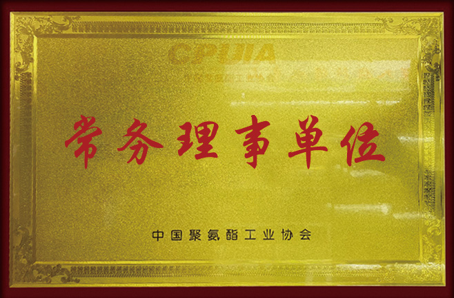 中國(guó)聚氨酯工業(yè)協(xié)會(huì)常務(wù)理事單位