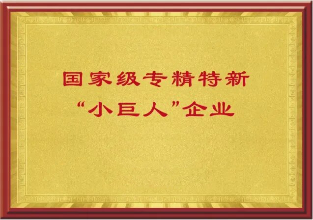 國(guó)家級(jí)專精特新“小巨人”企業(yè)